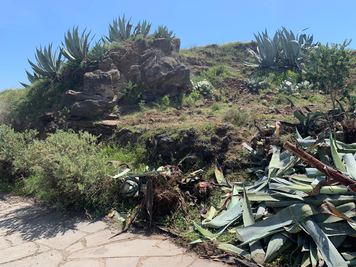 zoom sur mains d'une grand mère montrant ainsi son savoir faire