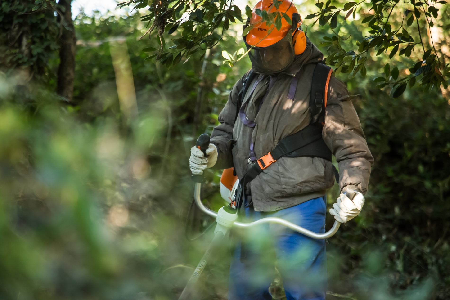 aramon chantier insertion bd ©olivier octobre